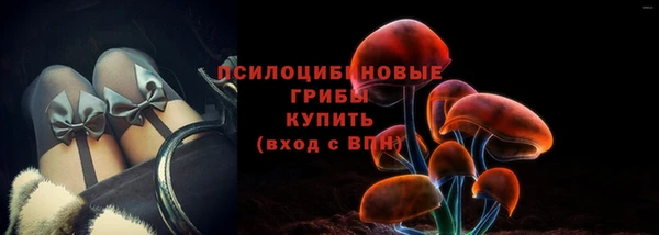 спиды Алексеевка