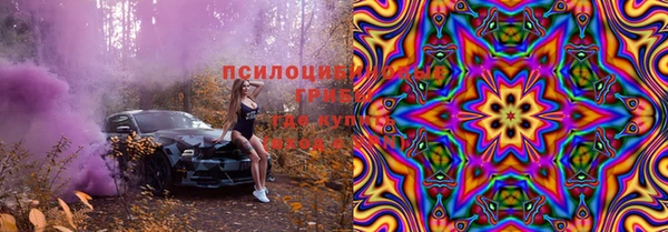спиды Алексеевка