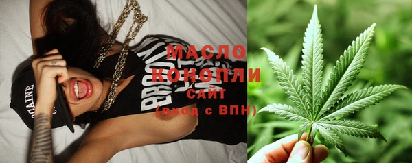 дмт Алексин