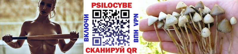 shop клад  Кулебаки  Псилоцибиновые грибы ЛСД  купить наркоту 